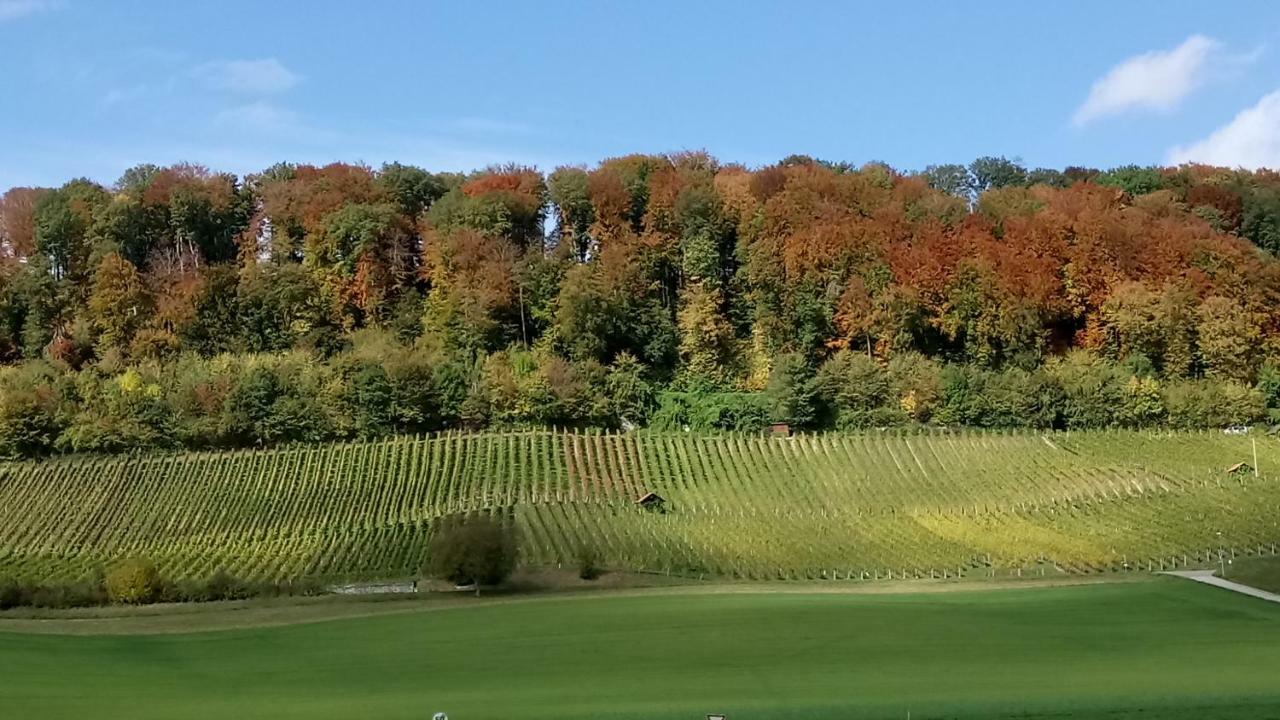 Ferienzimmer Zuelli Erlach 外观 照片